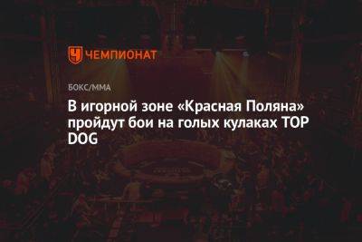 В игорной зоне «Красная Поляна» пройдут бои на голых кулаках TOP DOG - championat.com