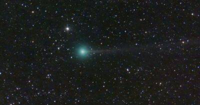 Эксперты не уверены сможем ли мы увидеть новую комету невооруженным глазом: в чем суть (фото) - focus.ua - США - Украина - Япония