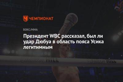 Александр Усик - Маурисио Сулейман - Даниэль Дюбуа - Президент WBC рассказал, был ли удар Дюбуа в область пояса Усика легитимным - championat.com - Украина - Англия - Польша