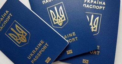 Тарас Мельничук - Кабмин упростил получение гражданства иностранцам, которые воюют за Украину - dsnews.ua - Украина