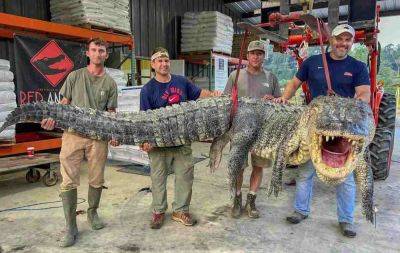 В штате Миссисипи поймали гигантского аллигатора — фото - planetanovosti.com - USA - штат Миссисипи