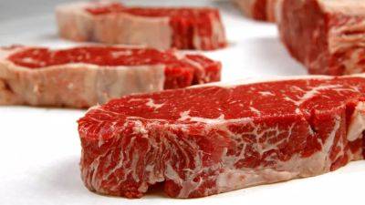 Дания решает проблемы потребления и производсва говядины - ru.euronews.com - Дания - Аргентина - Уругвай