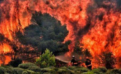 Пожар в Греции стал крупнейшим лесным пожаром в ЕС - unn.com.ua - Украина - Киев - Турция - Нью-Йорк - Греция - Ес