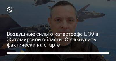 Юрий Игнат - Воздушные силы о катастрофе L-39 в Житомирской области: Столкнулись фактически на старте - liga.net - Украина - Житомирская обл.