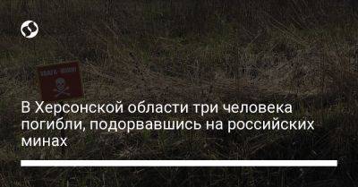 Александр Прокудин - В Херсонской области три человека погибли, подорвавшись на российских минах - liga.net - Украина - Херсонская обл.