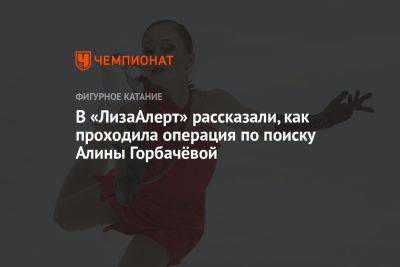 Алина Горбачева - В «ЛизаАлерт» рассказали, как проходила операция по поиску Алины Горбачёвой - championat.com - Москва