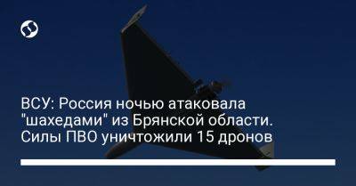 ВСУ: Россия ночью атаковала "шахедами" из Брянской области. Силы ПВО уничтожили 15 дронов - liga.net - Россия - Украина - Брянская обл.