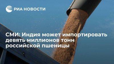 Economic Times: Индия рассматривает импорт девяти миллионов тонн российской пшеницы - smartmoney.one - Россия - Индия