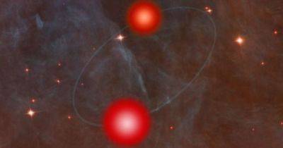 Обнаружены две звезды на очень близком расстоянии: система поместилась бы внутри Солнца - focus.ua - Украина