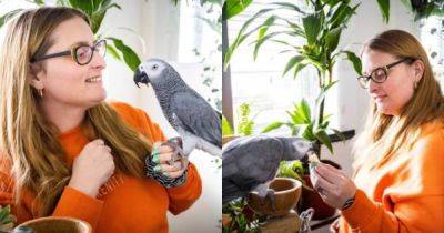 "Они счастливы": британка потратила часть приза с лотереи на роскошный дом для попугаев (фото) - focus.ua - Украина - Англия - шт. Колорадо - штат Гавайи - Великобритания