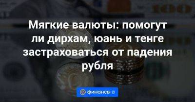 Мягкие валюты: помогут ли дирхам, юань и тенге застраховаться от падения рубля - smartmoney.one - Эмираты