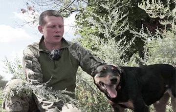 Невероятная история: как собака помогла бойцам ВСУ под Бахмутом - charter97.org - Белоруссия