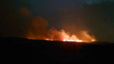 Алексей Богодистов - Лесной пожар в Геленджике расширился до 118 гектаров - svoboda.org - Краснодарский край - Геленджик