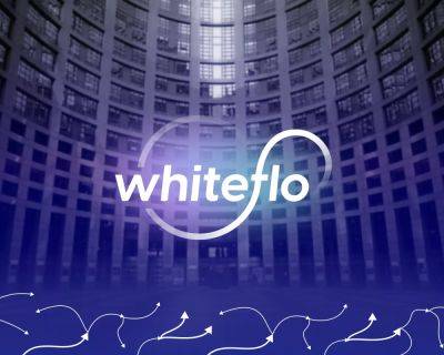 Как запустить криптопроцессинговый сервис в Европе ― рассказывает WhiteFlo - forklog.com - Европа - Ес