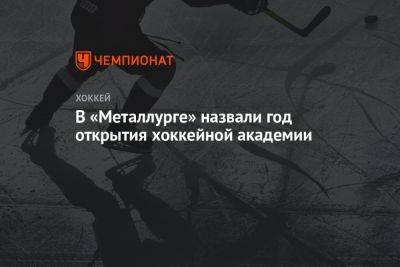 Андрей Разин - В «Металлурге» назвали год открытия хоккейной академии - championat.com