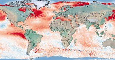 Три недели ада на Земле. Ученые назвали самый жаркий период на планете - focus.ua - Украина - Италия - Германия
