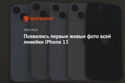 Появились первые живые фото всей линейки iPhone 15 - championat.com