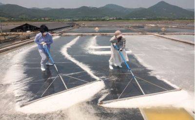 Южная Корея из-за сброса воды с «Фукусимы» проверит все соляные фермы - obzor.lt - Южная Корея - Япония