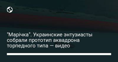 "Марічка". Украинские энтузиасты собрали прототип аквадрона торпедного типа — видео - liga.net - Украина - New York