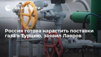 Сергей Лавров - Лавров: Россия готова создать в Турции газораспределительный хаб - smartmoney.one - Москва - Россия - Турция