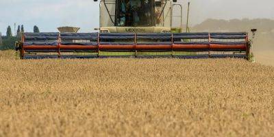 «Ради благополучия фермеров». В сентябре Польша закроет границу для украинского зерна - biz.nv.ua - Украина - Польша - Ес - Продовольствие