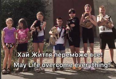 В Харькове собака со щенком двое суток просидели в коллекторе: спасли дети - objectiv.tv - Харьков