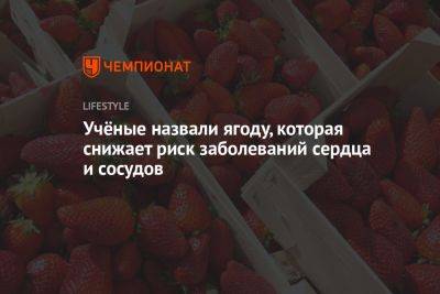 Учёные назвали ягоду, которая снижает риск заболеваний сердца и сосудов - championat.com