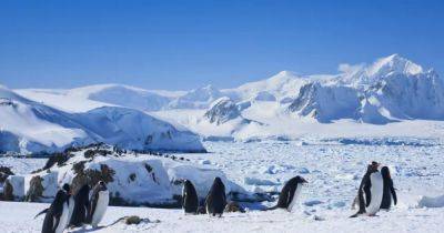 Адская жара в действии. Антарктида потеряла огромный кусок морского льда размером с Гренландию - focus.ua - Украина - Антарктида - Гренландия