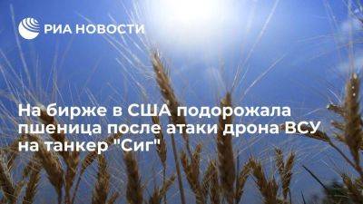 На бирже Чикаго подорожала пшеница после атаки украинского БПЛА на российский танкер "Сиг" - smartmoney.one - Россия - США - Украина - Черное Море