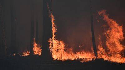 Лесные пожары охватили Якутию, уже выгорело более 1,2 га - apostrophe.ua - Москва - Россия - Украина - респ. Саха