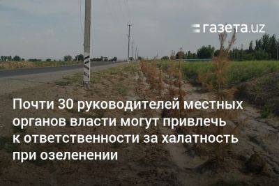 Почти 30 руководителей местных органов власти в Узбекистане могут привлечь к ответственности за халатность при озеленении - gazeta.uz - Узбекистан - Навоийской обл. - Ташкентская обл.