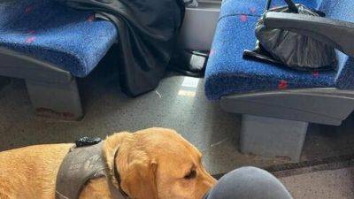 Выкинули слепую женщину с места в поезде ради ортодокса - и получили иск в суд - vesty.co.il - Израиль