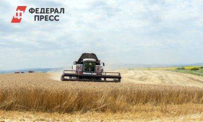 С тюменских полей начали собирать первое зерновое «золото» и овощи - smartmoney.one - Тюмень - Тюменская обл.