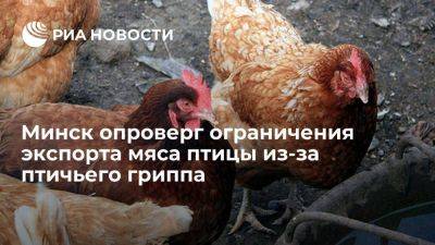 Смильгинь опроверг информацию об ограничении экспорта мяса птицы из-за птичьего гриппа - smartmoney.one - Китай - Белоруссия - Минск