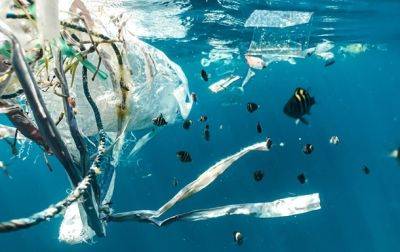 В океанах оказалось меньше пластика, чем предполагалось - ученые - korrespondent.net - США - Украина - штат Айдахо - Экология