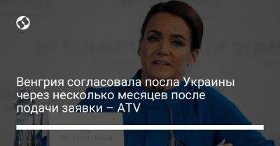 Владимир Зеленский - Каталин Новак - Венгрия согласовала посла Украины через несколько месяцев после подачи заявки – ATV - liga.net - Украина - Киев - Венгрия - Ужгород