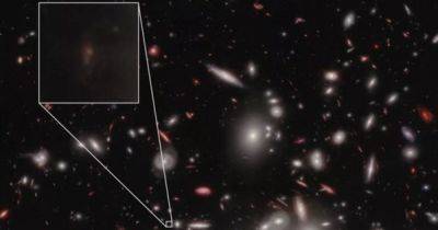 Альберт Эйнштейн - Джеймс Уэбб - Вселенная - Без эффекта Эйнштейна не нашли бы. Подтверждено существование самой темной галактики во Вселенной (фото) - focus.ua - Украина - Лос-Анджелес