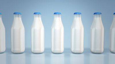 Rabobank: 20 крупнейших мировых производителей молочной продукции - produkt.by - США - Швейцария - Белоруссия - Франция - Япония