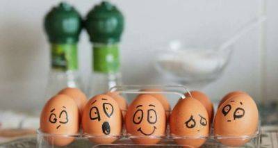 Почему яйца обязательно хранить острым кончиком вниз - cxid.info