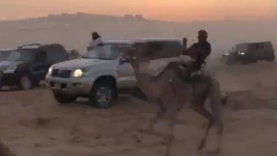 Видео: верблюжьи бега и стрельба на полигоне ЦАХАЛа в Негеве - vesty.co.il - Израиль