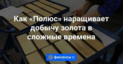 Как «Полюс» наращивает добычу золота в сложные времена - smartmoney.one