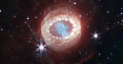 Джеймс Уэбб - Самый мощный взрыв за 400 лет. Телескоп Уэбб показал неизвестные детали знаменитой сверхновой (фото) - focus.ua - Украина