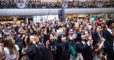 Гарри Поттер - Джоан Роулинг - Сотни фанатов Гарри Поттера собрались на вокзале, чтобы "вернуться в Хогвартс" (видео) - focus.ua - Украина - Англия - Лондон - 1 Сентября
