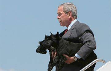 Владимир Путин - Виктор Пинчук - Джордж Буш - Буш-младший рассказал, как Путин обидел его собаку - charter97.org - Москва - Россия - США - Белоруссия - Словения - с. Путин