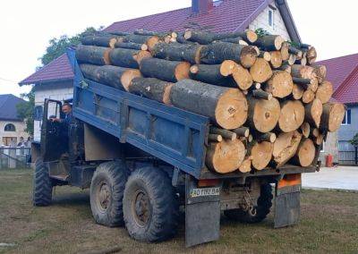 Позаботьтесь об этом заранее: украинцы могут получить бесплатные дрова на зиму. Что нужно знать - hyser.com.ua - Украина