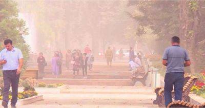 КЧС: вновь пыльная буря, будьте осторожны! - dialog.tj - Душанбе - Таджикистан
