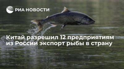 Россельхознадзор: Китай разрешил 12 рыбным предприятиям из РФ экспорт продукции - smartmoney.one - Россия - Китай