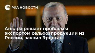 Реджеп Тайип Эрдоган - Эрдоган: Анкара пытается решить проблемы с российским экспортом сельхозпродукции - smartmoney.one - Россия - Турция - Индия - Анкара