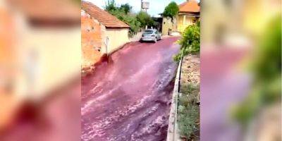 В Португалии река из вина затопила город Анадия — видео - nv.ua - Украина - Португалия