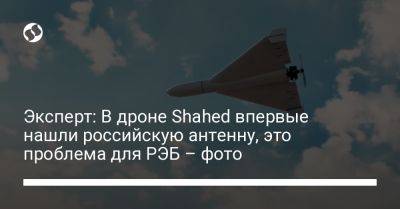 Эксперт: В дроне Shahed впервые нашли российскую антенну, это проблема для РЭБ – фото - liga.net - Россия - Украина - Киев